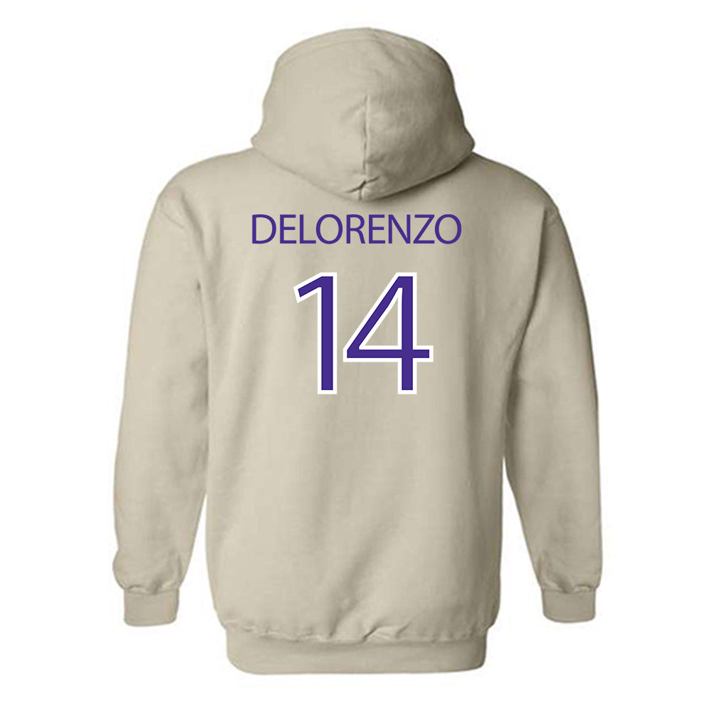 Sioux Falls - NCAA Softball : Brianna Delorenzo - Classic Shersey Hooded Sweatshirt-1