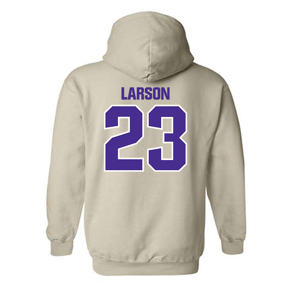 Sioux Falls - NCAA Baseball : Eli Larson - Classic Shersey Hooded Sweatshirt-1