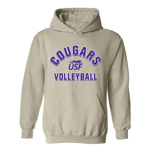 Sioux Falls - NCAA Women's Volleyball : Hollie Peterson - Classic Shersey Hooded Sweatshirt-0