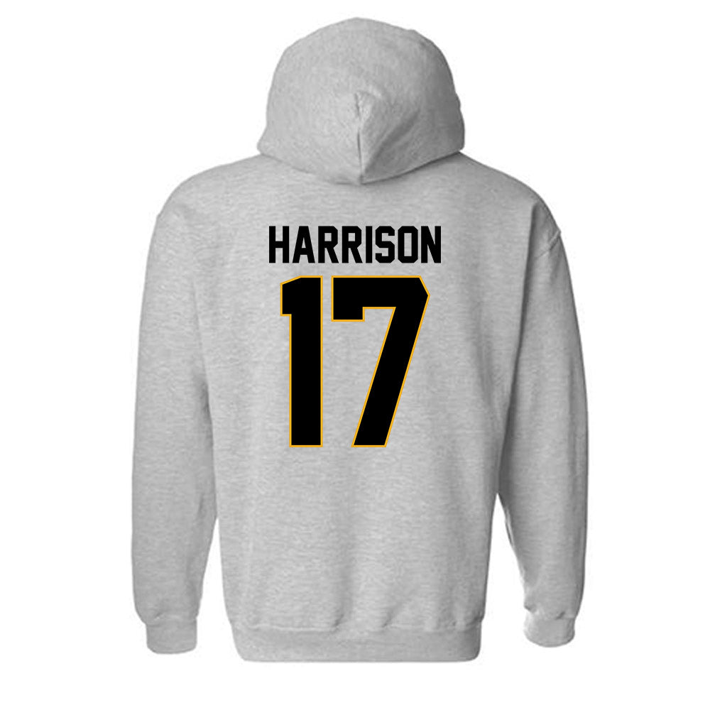 Missouri - NCAA Softball : Cierra Harrison - Hooded Sweatshirt-1
