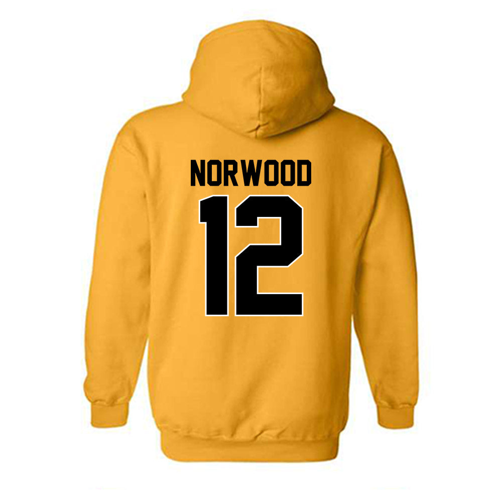 Missouri - NCAA Football : Dreyden Norwood - Hooded Sweatshirt-1