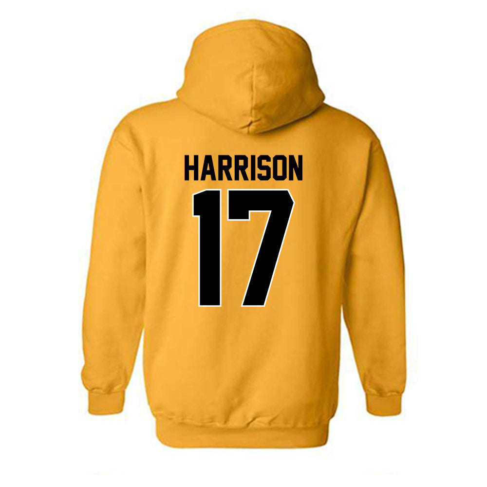 Missouri - NCAA Softball : Cierra Harrison - Hooded Sweatshirt-1