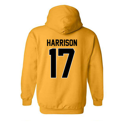 Missouri - NCAA Softball : Cierra Harrison - Hooded Sweatshirt-1