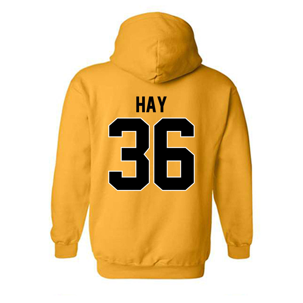 Missouri - NCAA Softball : Abby Hay - Hooded Sweatshirt-1