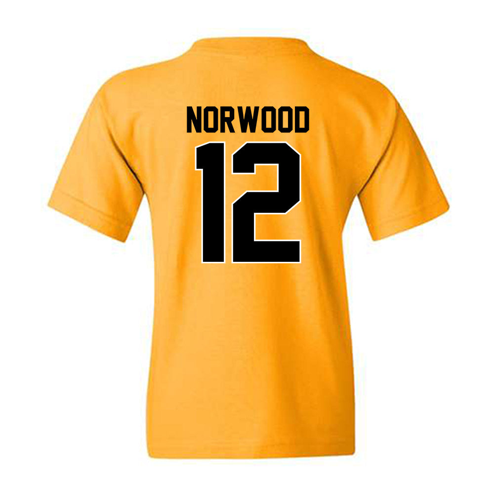 Missouri - NCAA Football : Dreyden Norwood - Youth T-Shirt-1