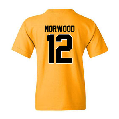 Missouri - NCAA Football : Dreyden Norwood - Youth T-Shirt-1