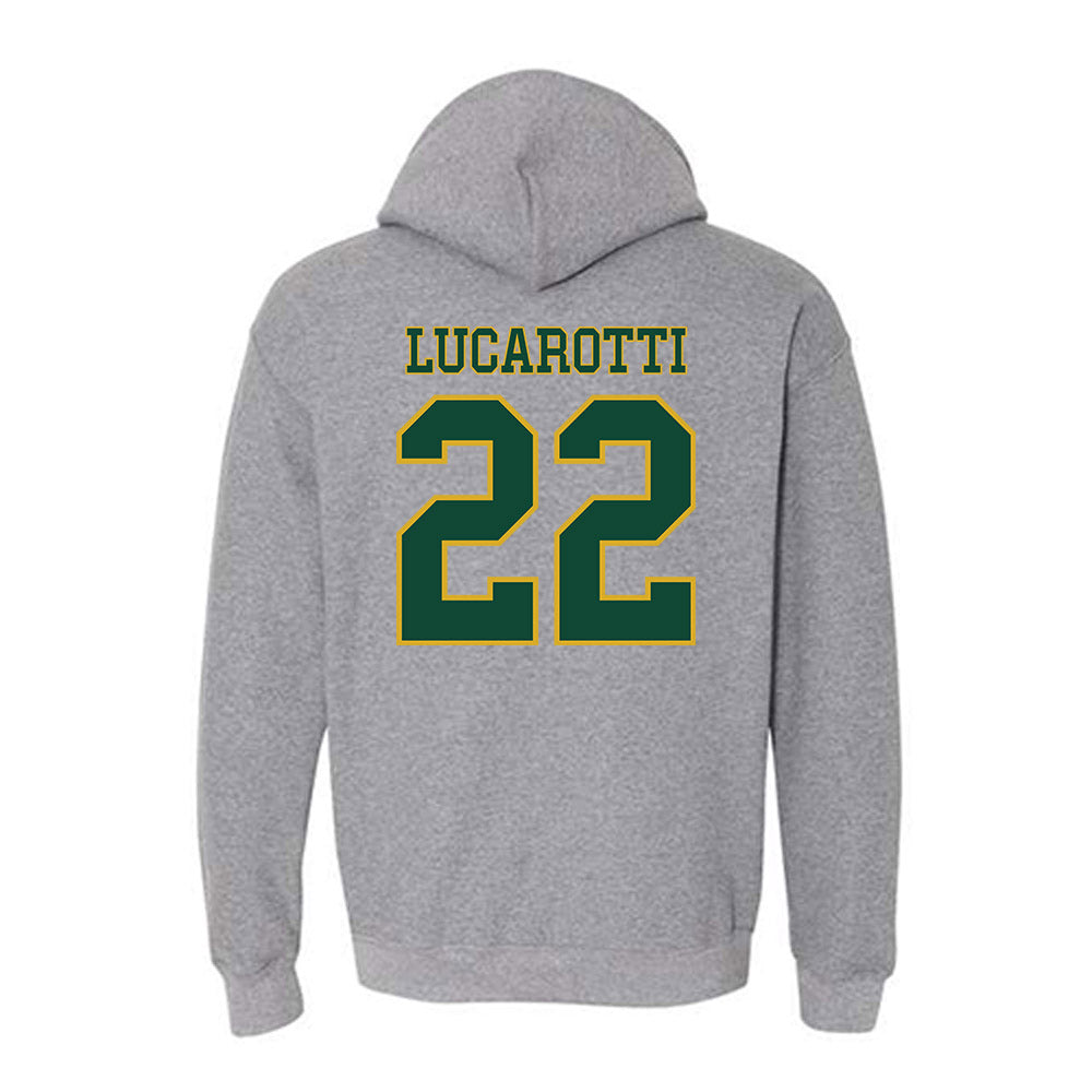 Tiffin - NCAA Men's Basketball : Michael Lucarotti - Classic Shersey Hooded Sweatshirt-1
