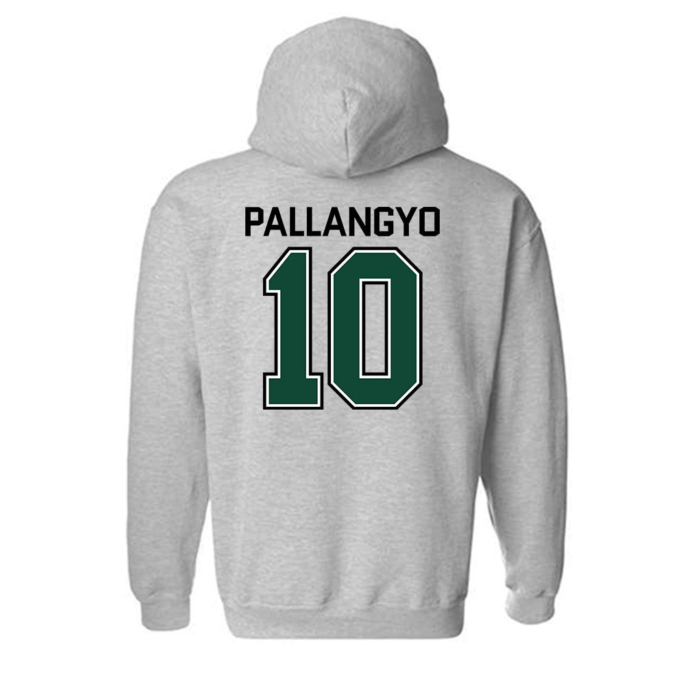 Tiffin - NCAA Men's Soccer : Praygod Johnson Pallangyo - Hooded Sweatshirt-1