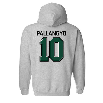 Tiffin - NCAA Men's Soccer : Praygod Johnson Pallangyo - Hooded Sweatshirt-1