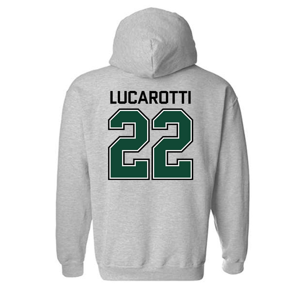 Tiffin - NCAA Men's Basketball : Michael Lucarotti - Hooded Sweatshirt-1