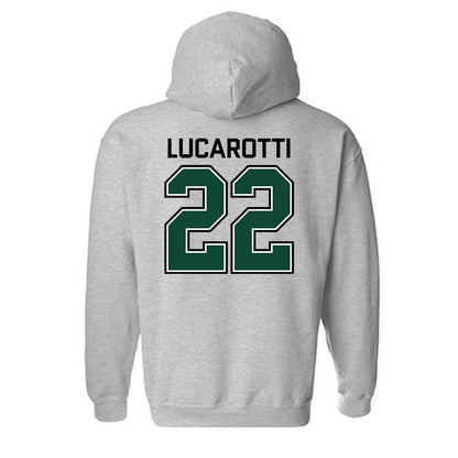 Tiffin - NCAA Men's Basketball : Michael Lucarotti - Hooded Sweatshirt-1