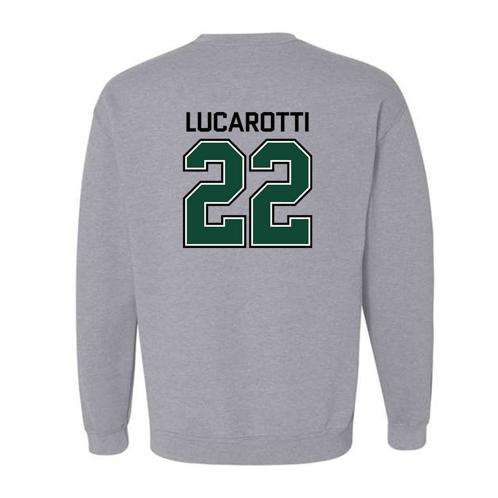 Tiffin - NCAA Men's Basketball : Michael Lucarotti - Crewneck Sweatshirt-1