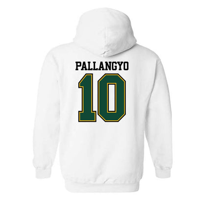 Tiffin - NCAA Men's Soccer : Praygod Johnson Pallangyo - Hooded Sweatshirt-1