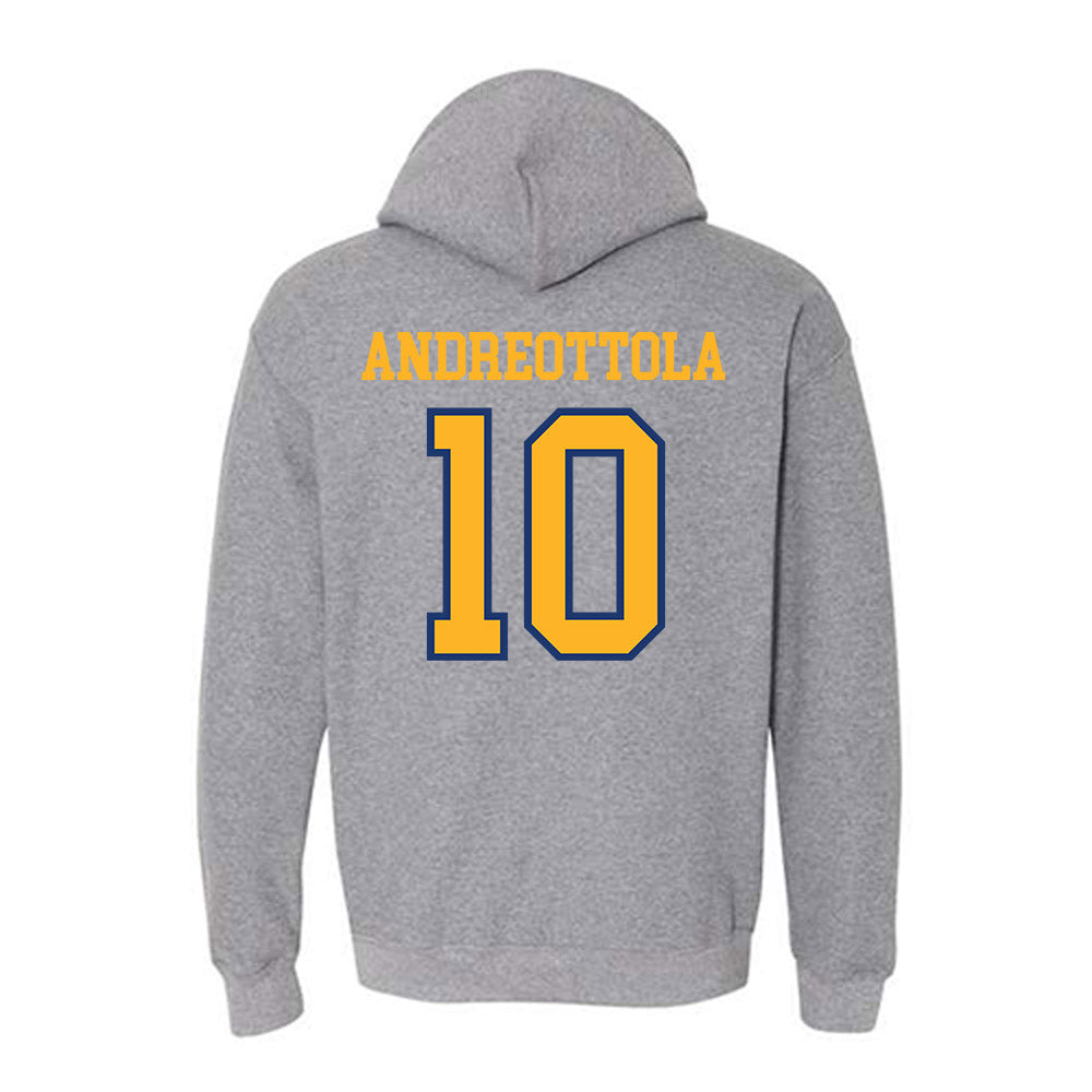FLC - NCAA Men's Soccer : Alessio Andreottola - Hooded Sweatshirt-1