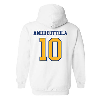 FLC - NCAA Men's Soccer : Alessio Andreottola - Hooded Sweatshirt-1