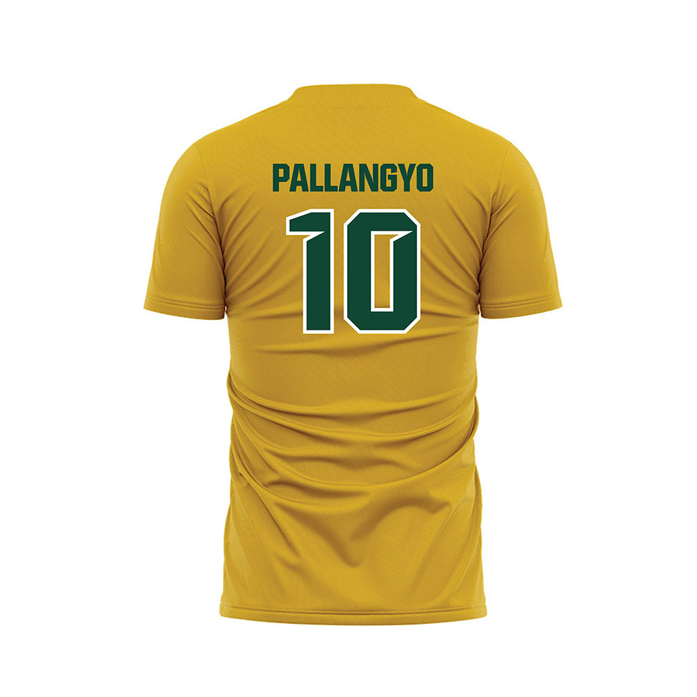 Tiffin - NCAA Men's Soccer : Praygod Johnson Pallangyo - Gold Soccer Jersey-1