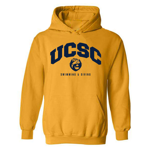 UCSC - NCAA Women's Swimming & Diving : Paige Vicente - Classic Shersey Hooded Sweatshirt-0