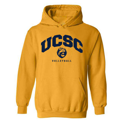 UCSC - NCAA Men's Volleyball : Noy Fisher - Classic Shersey Hooded Sweatshirt-0