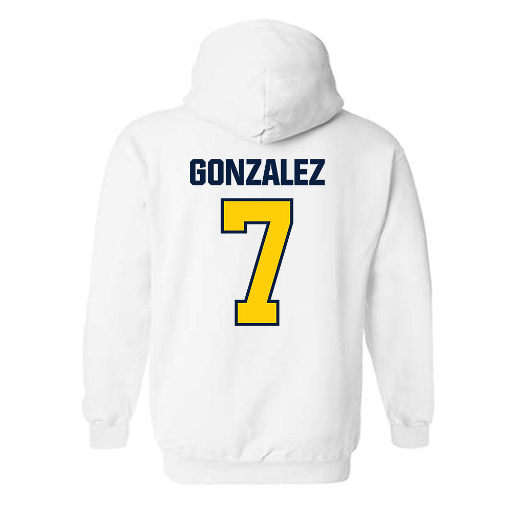 UCSC - NCAA Men's Swimming & Diving : Israel Gonzalez - Classic Shersey Hooded Sweatshirt-1