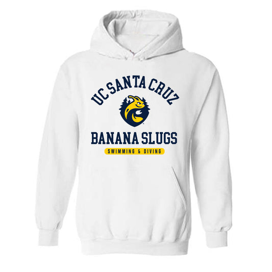 UCSC - NCAA Men's Swimming & Diving : Dylan Blietz - Classic Shersey Hooded Sweatshirt-0