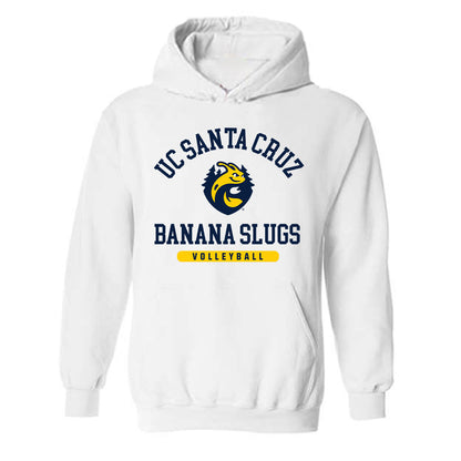 UCSC - NCAA Men's Volleyball : Noy Fisher - Classic Shersey Hooded Sweatshirt-0