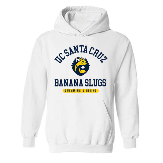 UCSC - NCAA Men's Swimming & Diving : Israel Gonzalez - Classic Shersey Hooded Sweatshirt-0