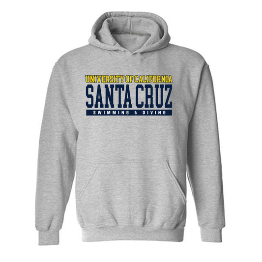 UCSC - NCAA Men's Swimming & Diving : Dylan Blietz - Classic Shersey Hooded Sweatshirt-0