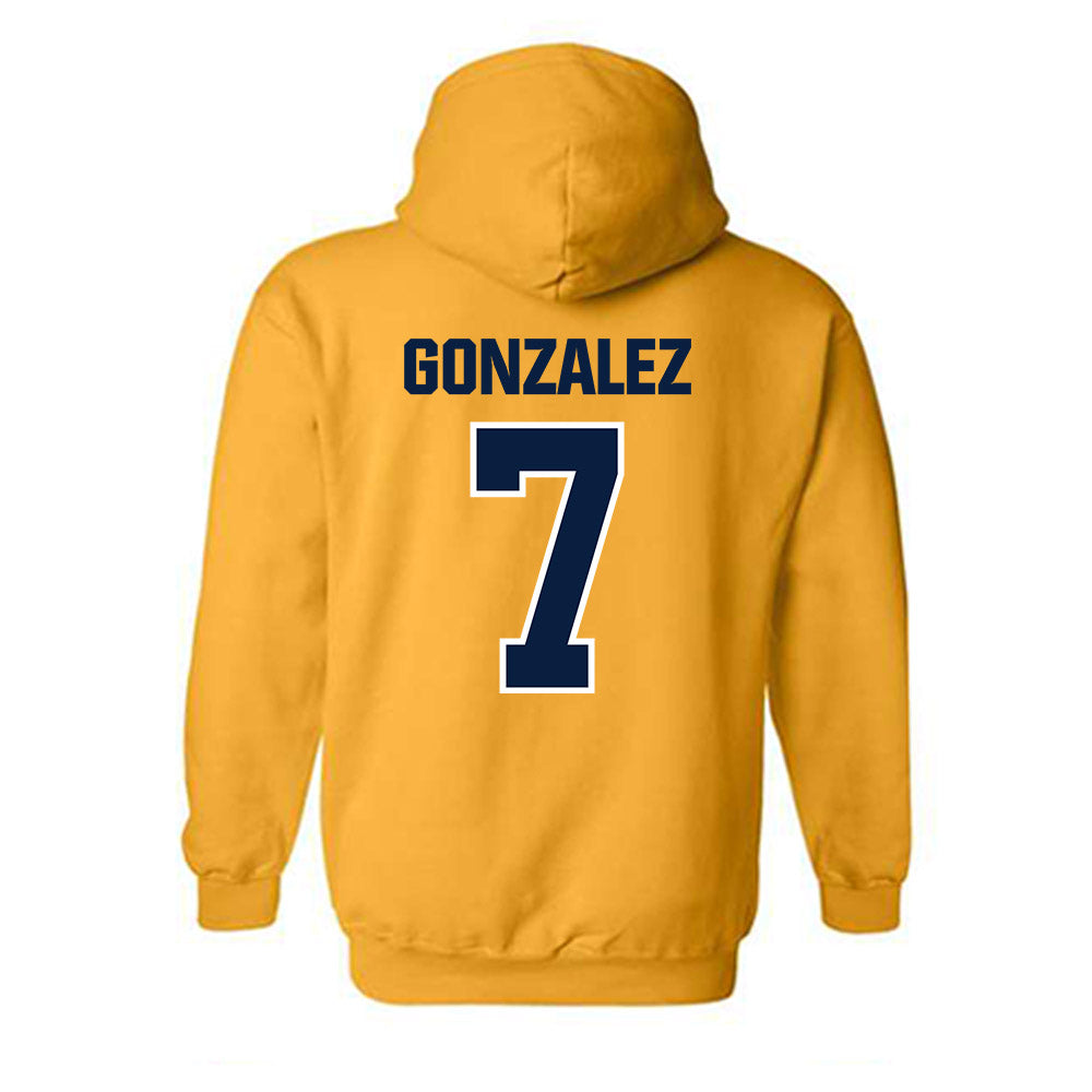 UCSC - NCAA Men's Swimming & Diving : Israel Gonzalez - Classic Shersey Hooded Sweatshirt-1