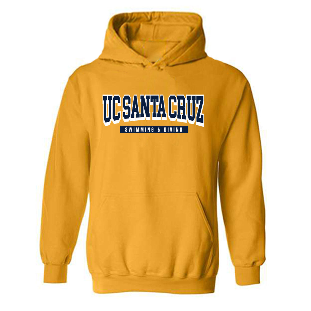 UCSC - NCAA Men's Swimming & Diving : Israel Gonzalez - Classic Shersey Hooded Sweatshirt-0