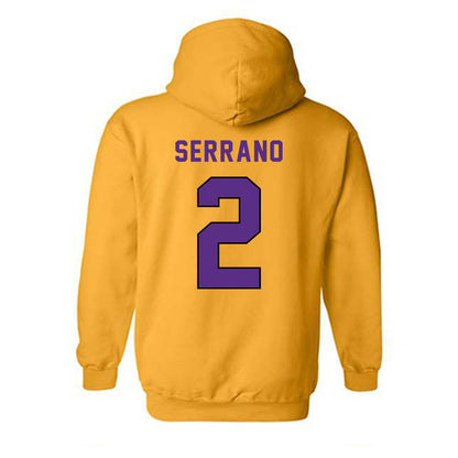 East Carolina - NCAA Women's Soccer : Sofia Serrano - Classic Shersey Hooded Sweatshirt-1
