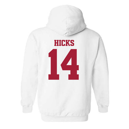 Arkansas - NCAA Women's Volleyball : Rosana Hicks - 30th Anniversary Hooded Sweatshirt-1