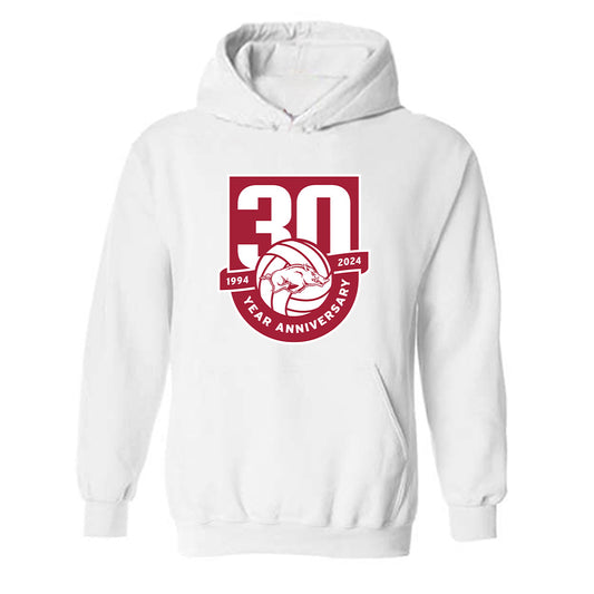 Arkansas - NCAA Women's Volleyball : Skylar Ellison - 30th Anniversary Hooded Sweatshirt-0