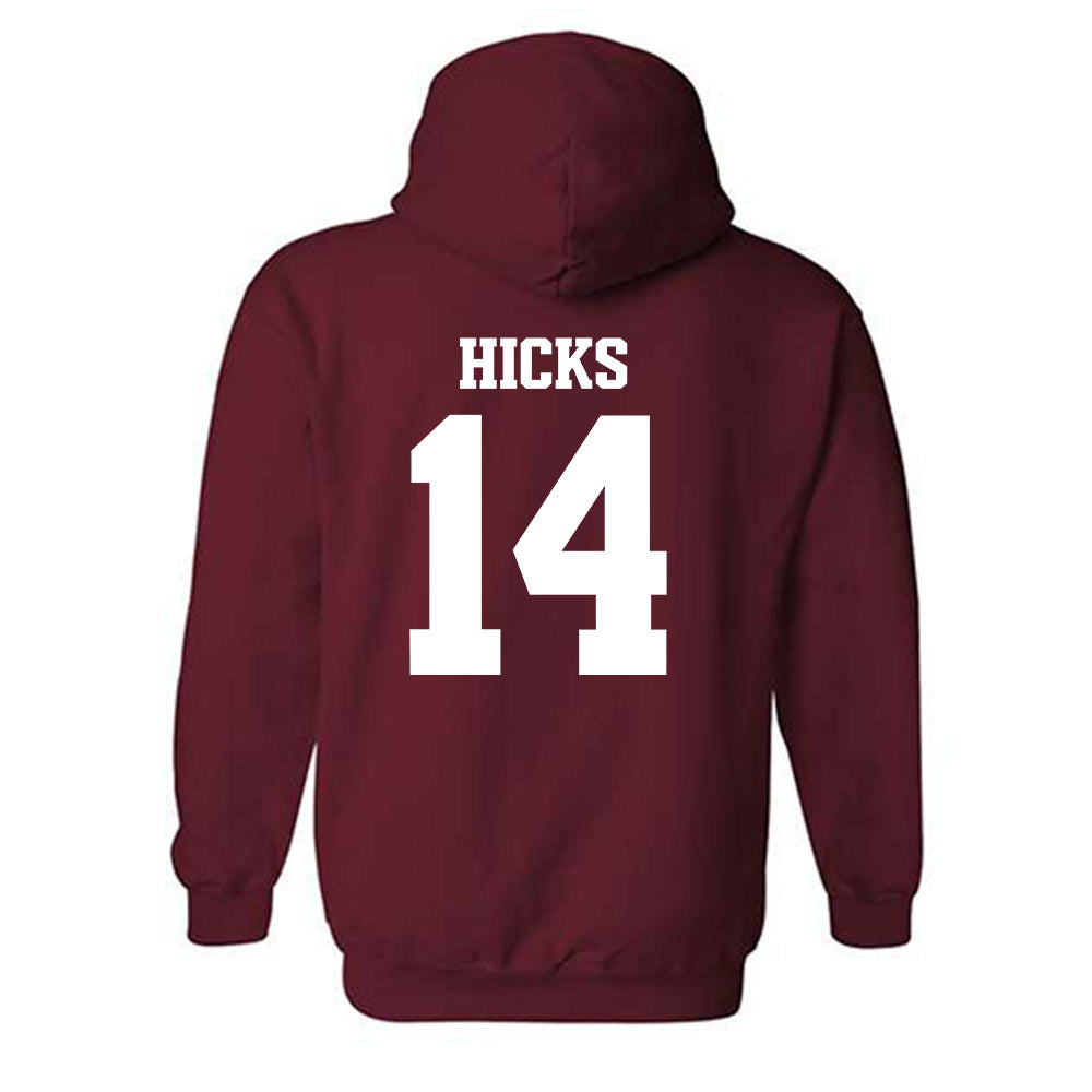 Arkansas - NCAA Women's Volleyball : Rosana Hicks - 30th Anniversary v2 Hooded Sweatshirt-1