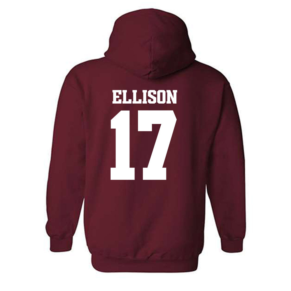 Arkansas - NCAA Women's Volleyball : Skylar Ellison - 30th Anniversary v2 Hooded Sweatshirt-1