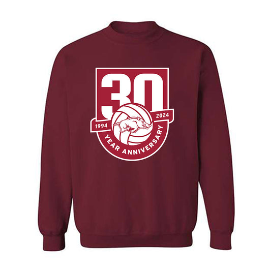 Arkansas - NCAA Women's Volleyball : Skylar Ellison - 30th Anniversary v2 Crewneck Sweatshirt-0