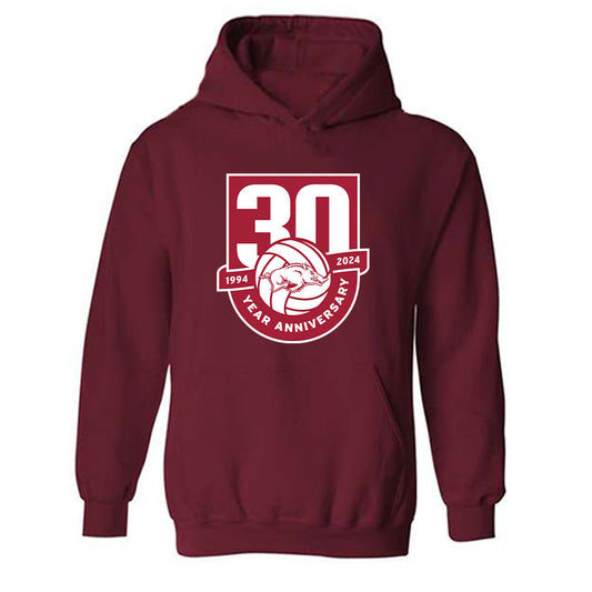 Arkansas - NCAA Women's Volleyball : Sydney Maue - 30th Anniversary v2 Hooded Sweatshirt-0