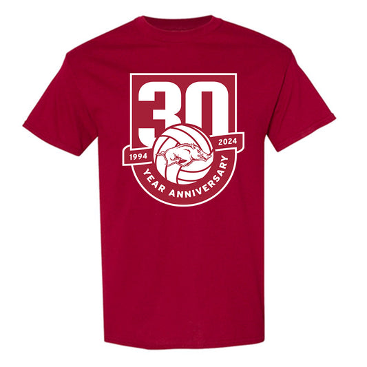 Arkansas - NCAA Women's Volleyball : Ava Roth - 30th Anniversary v2 T-Shirt-0