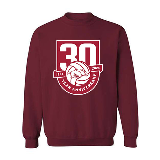 Arkansas - NCAA Women's Volleyball : Livia Niu - 30th Anniversary v2 Crewneck Sweatshirt-0