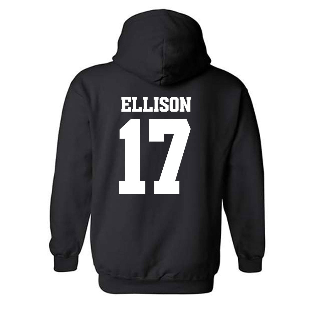 Arkansas - NCAA Women's Volleyball : Skylar Ellison - 30th Anniversary v3 Hooded Sweatshirt-1