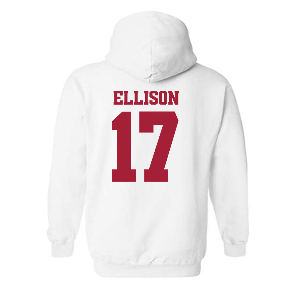 Arkansas - NCAA Women's Volleyball : Skylar Ellison - 30th Anniversary v3 Hooded Sweatshirt-1