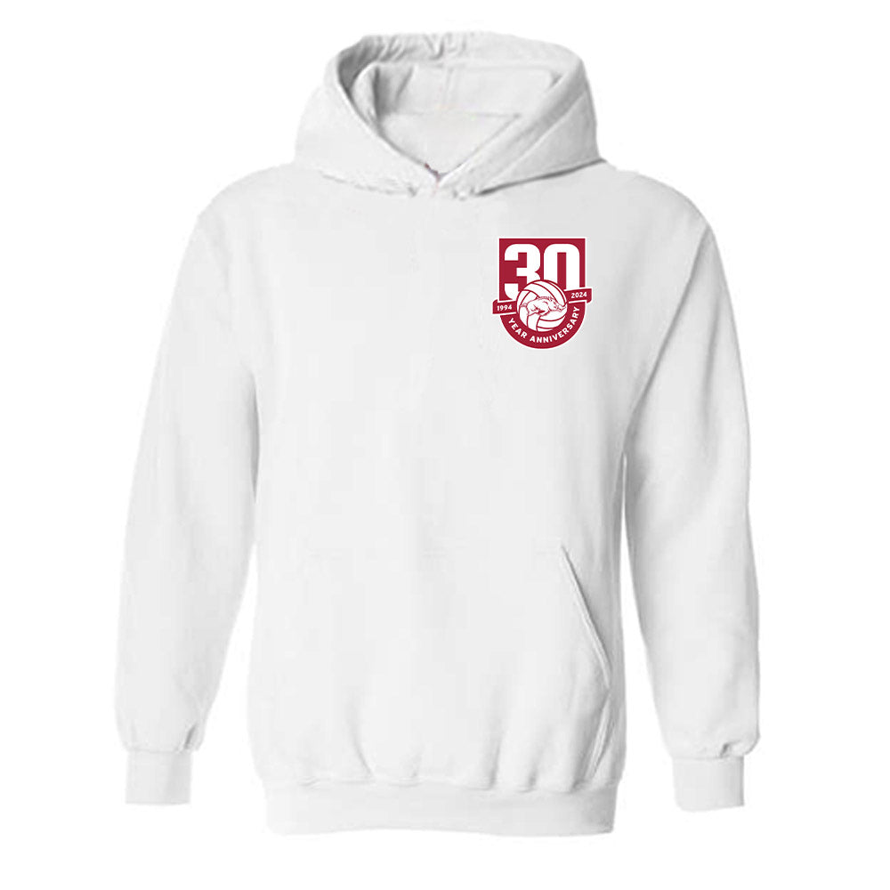 Arkansas - NCAA Women's Volleyball : Skylar Ellison - 30th Anniversary v3 Hooded Sweatshirt-0