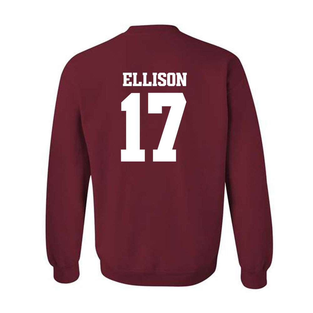 Arkansas - NCAA Women's Volleyball : Skylar Ellison - 30th Anniversary v4 Crewneck Sweatshirt-1