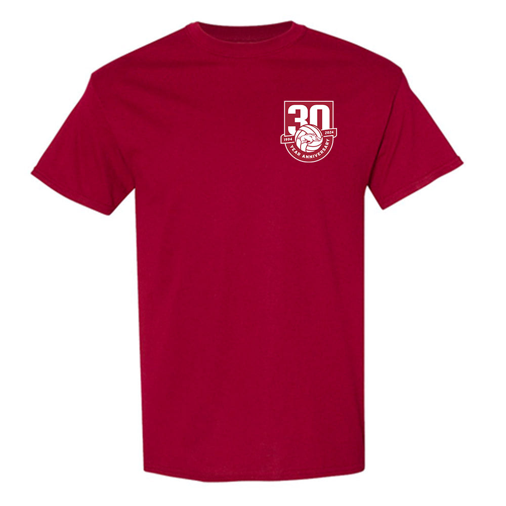 Arkansas - NCAA Women's Volleyball : Avery Calame - 30th Anniversary v4 T-Shirt-0