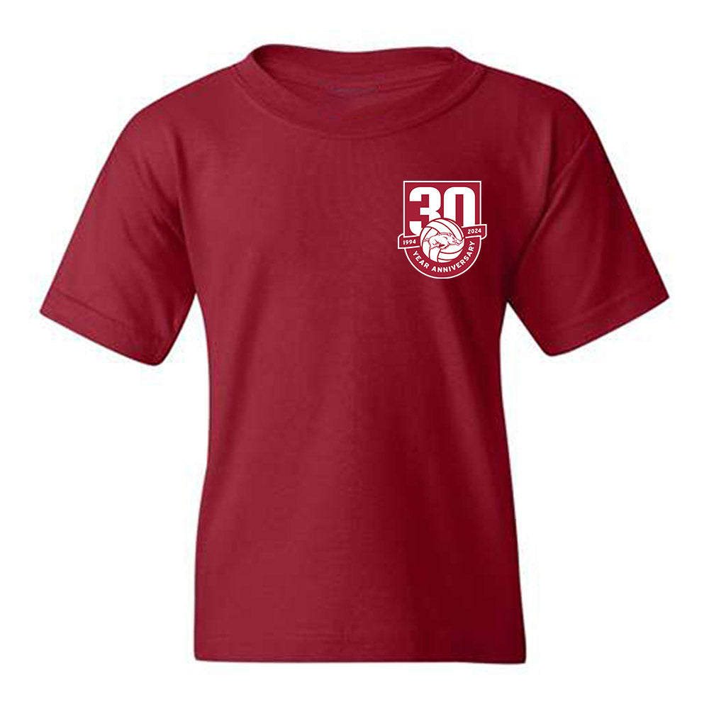 Arkansas - NCAA Women's Volleyball : Sania Petties - 30th Anniversary v4 Youth T-Shirt-0