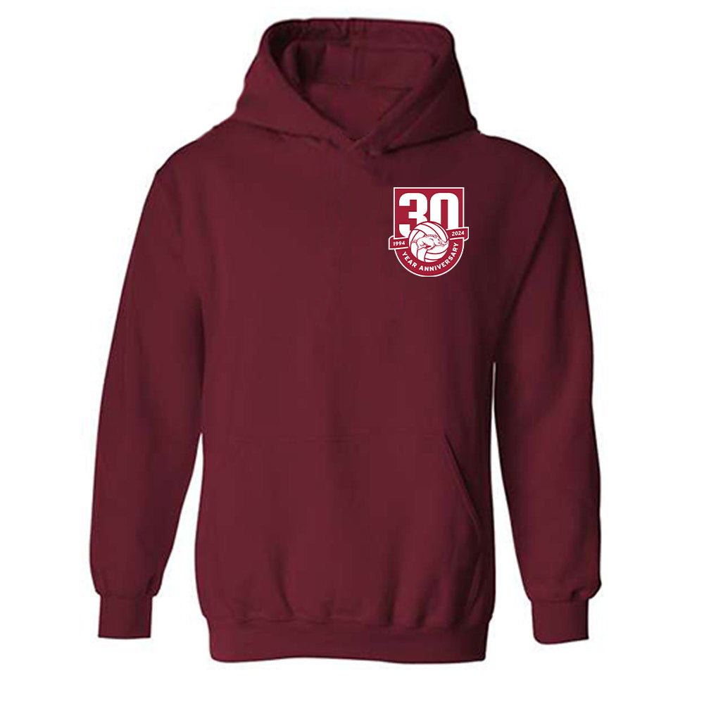 Arkansas - NCAA Women's Volleyball : Logan Jones - 30th Anniversary v4 Hooded Sweatshirt-0