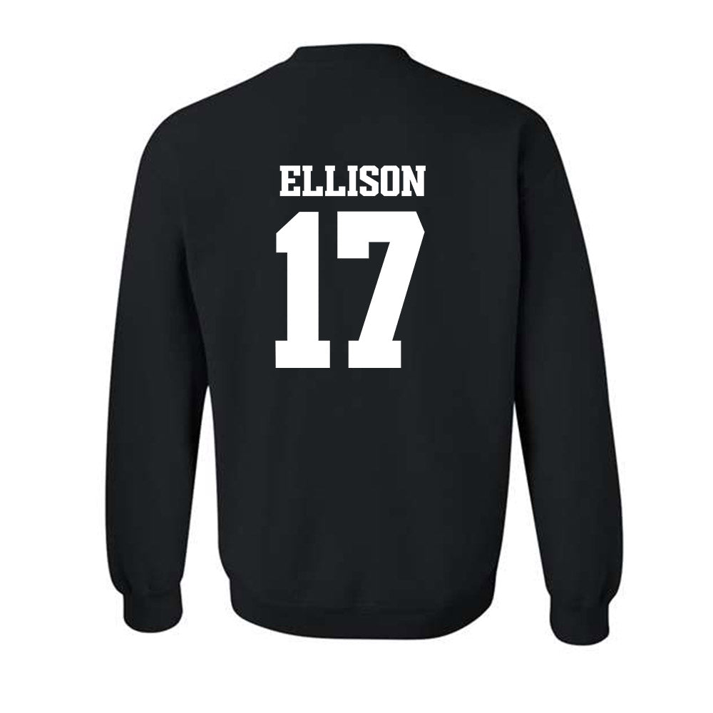Arkansas - NCAA Women's Volleyball : Skylar Ellison - 30th Anniversary v6 Crewneck Sweatshirt-1