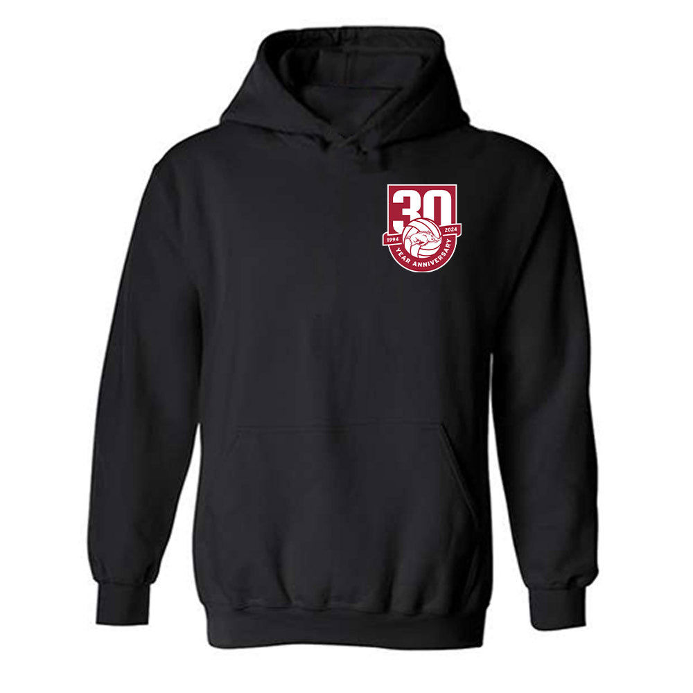 Arkansas - NCAA Women's Volleyball : Aleki Alexander - 30th Anniversary v6 Hooded Sweatshirt-0