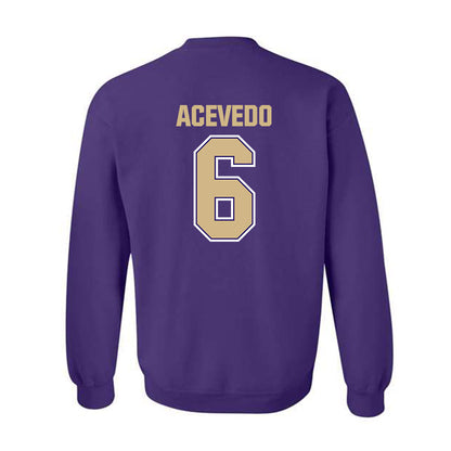 Washington - NCAA Softball : Melody Acevedo - Classic Shersey Crewneck Sweatshirt-1