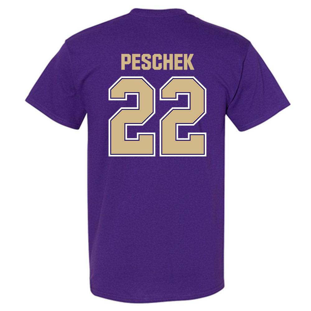 Washington - NCAA Softball : Riley Peschek - Classic Shersey T-Shirt-1