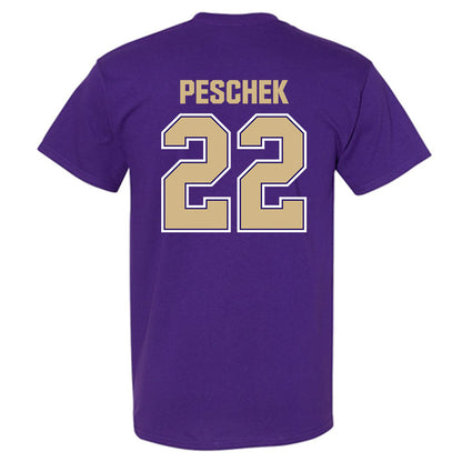 Washington - NCAA Softball : Riley Peschek - Classic Shersey T-Shirt-1
